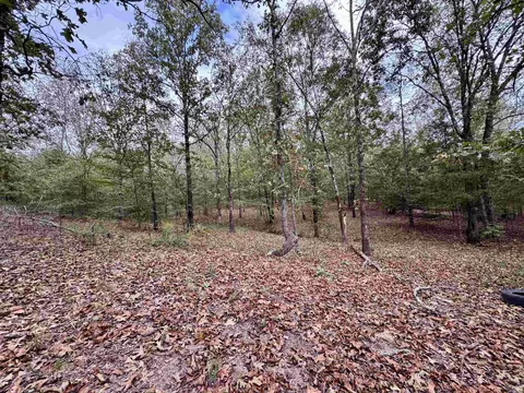 51 Trina Loop, Greenbrier, AR 72058 photo 23