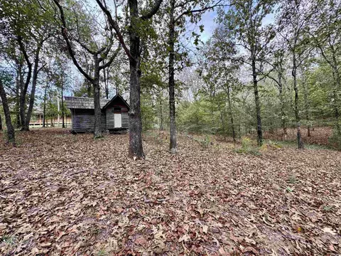 51 Trina Loop, Greenbrier, AR 72058 photo 24