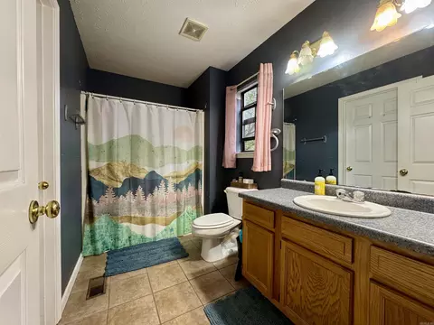51 Trina Loop, Greenbrier, AR 72058 photo 12