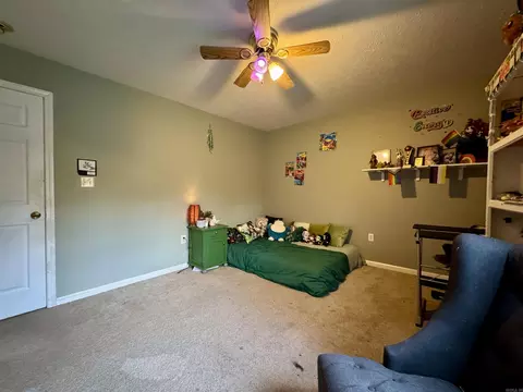 51 Trina Loop, Greenbrier, AR 72058 photo 19