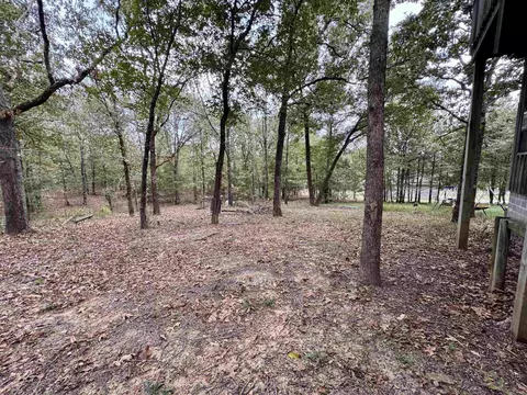 51 Trina Loop, Greenbrier, AR 72058 photo 28