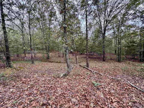 51 Trina Loop, Greenbrier, AR 72058 photo 25