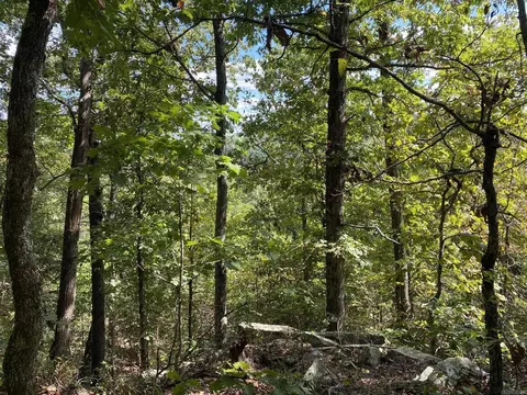 lot11 Cooper Pt, Mountain View, AR 72560