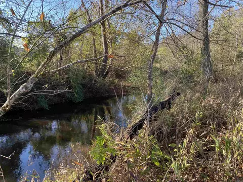 100 Bettis Spur Rd, Quitman, AR 72131 photo 11