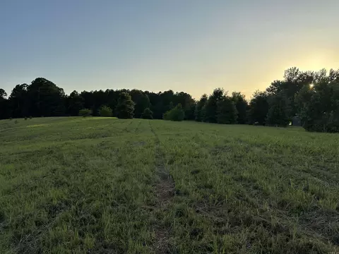 100 Bettis Spur Rd, Quitman, AR 72131 photo 5