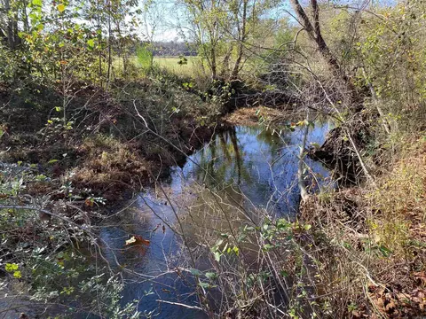 100 Bettis Spur Rd, Quitman, AR 72131 photo 10