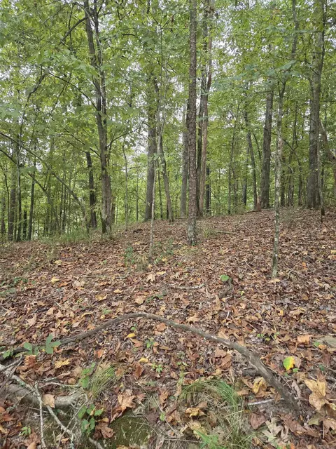 21 Springbrook, Hot Springs, AR 71913