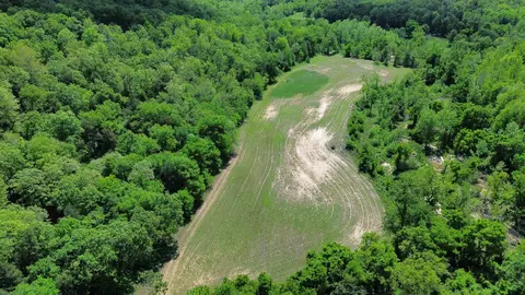 2157 Pleasant Grove Rd, Calico Rock, AR 72519 photo 11