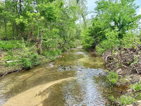 2157 Pleasant Grove Rd, Calico Rock, AR 72519 photo 6