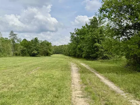 2157 Pleasant Grove Rd, Calico Rock, AR 72519 photo 43