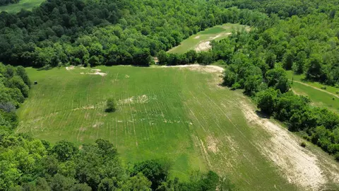 2157 Pleasant Grove Rd, Calico Rock, AR 72519 photo 10