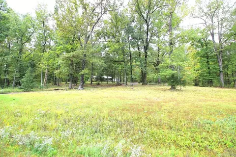 6113 E Highway 270, Mount Ida, AR 71957 photo 8