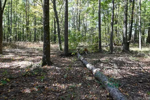 21 Moon Dance Rd, Mount Ida, AR 71957 photo 22