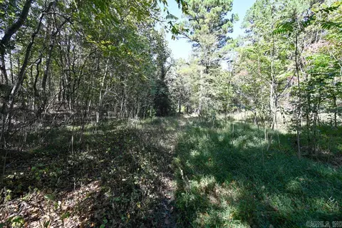 21 Moon Dance Rd, Mount Ida, AR 71957 photo 38