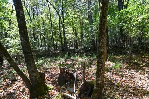 21 Moon Dance Rd, Mount Ida, AR 71957 photo 16