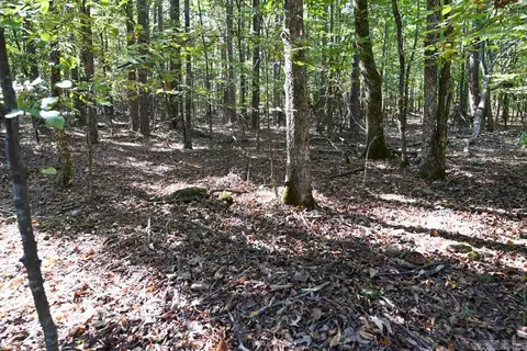 21 Moon Dance Rd, Mount Ida, AR 71957 photo 15