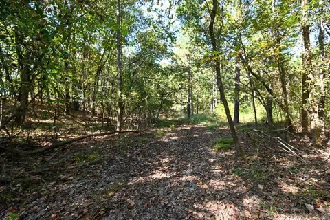 21 Moon Dance Rd, Mount Ida, AR 71957 photo 36