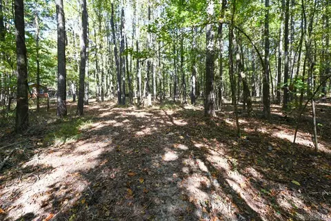 21 Moon Dance Rd, Mount Ida, AR 71957 photo 32
