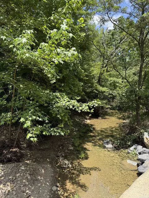 21 Moon Dance Rd, Mount Ida, AR 71957 photo 7