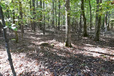 21 Moon Dance Rd, Mount Ida, AR 71957 photo 14