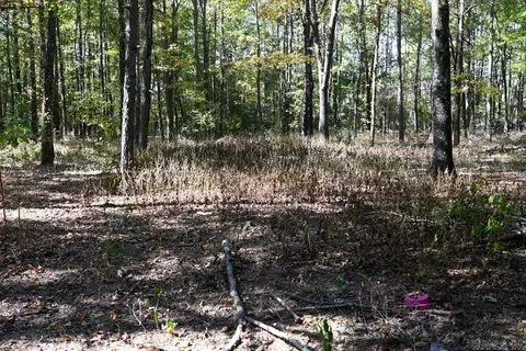 21 Moon Dance Rd, Mount Ida, AR 71957 photo 27