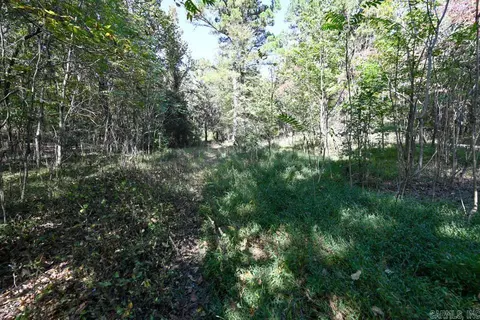 21 Moon Dance Rd, Mount Ida, AR 71957 photo 37