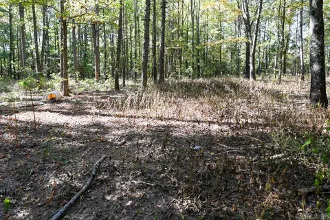 21 Moon Dance Rd, Mount Ida, AR 71957 photo 23