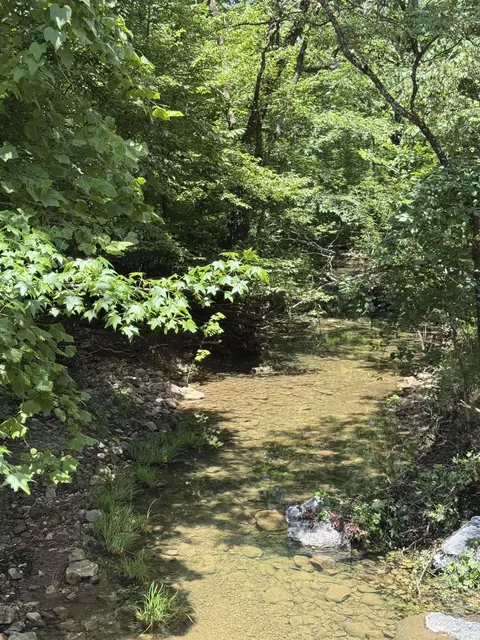 21 Moon Dance Rd, Mount Ida, AR 71957 photo 8