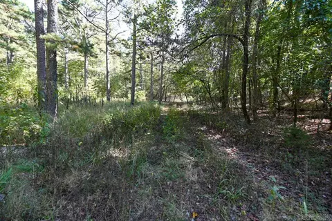 21 Moon Dance Rd, Mount Ida, AR 71957 photo 34