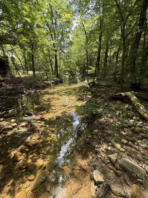 21 Moon Dance Rd, Mount Ida, AR 71957 photo 12