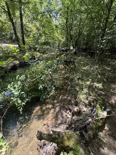 21 Moon Dance Rd, Mount Ida, AR 71957 photo 5