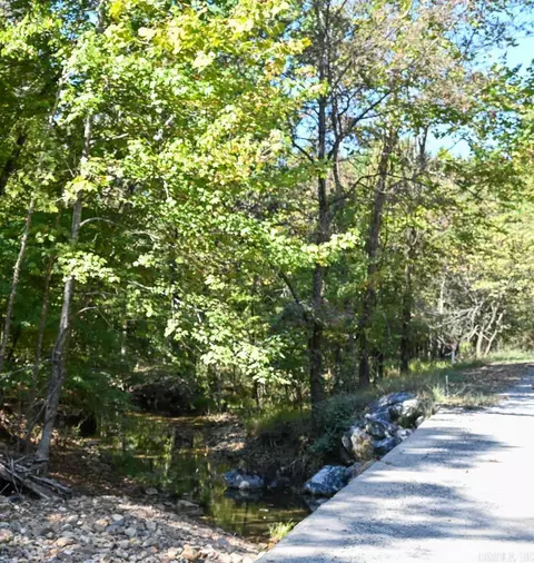 21 Moon Dance Rd, Mount Ida, AR 71957 photo 13