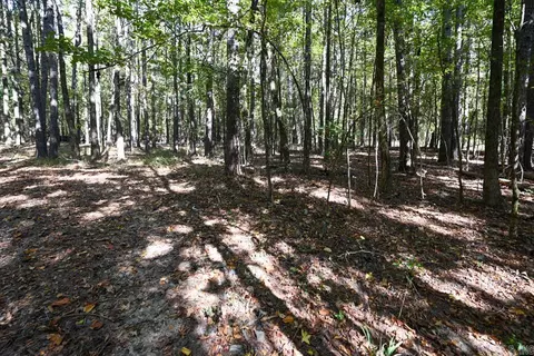21 Moon Dance Rd, Mount Ida, AR 71957 photo 31