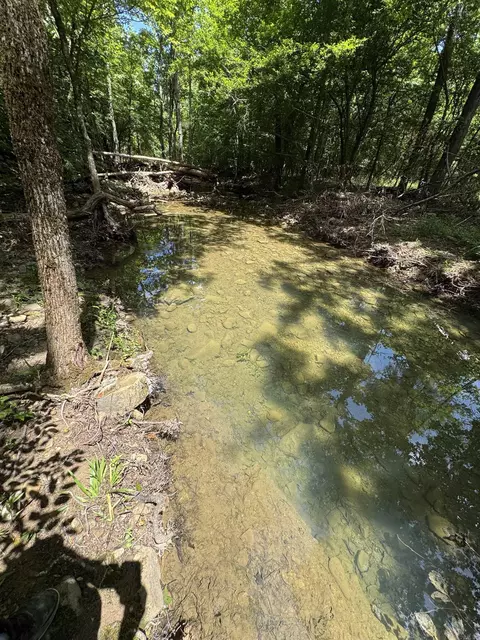 21 Moon Dance Rd, Mount Ida, AR 71957 photo 4