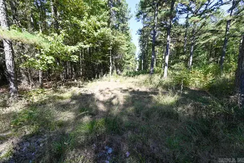 21 Moon Dance Rd, Mount Ida, AR 71957 photo 33