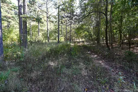 21 Moon Dance Rd, Mount Ida, AR 71957 photo 35