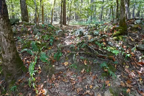 21 Moon Dance Rd, Mount Ida, AR 71957 photo 20