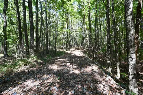 21 Moon Dance Rd, Mount Ida, AR 71957 photo 30