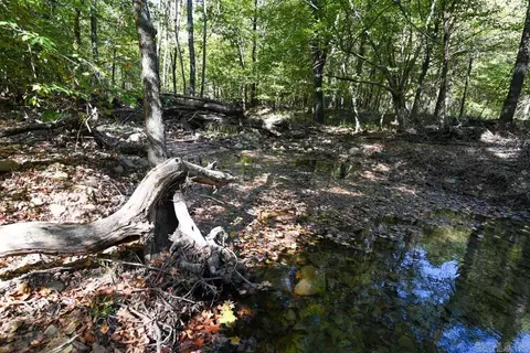21 Moon Dance Rd, Mount Ida, AR 71957 photo 18