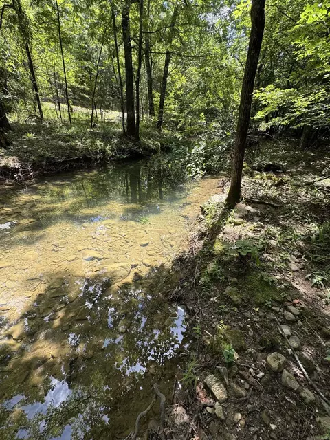 21 Moon Dance Rd, Mount Ida, AR 71957 photo 6