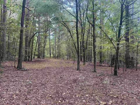 Joan Trail, Donaldson, AR 71941 photo 14