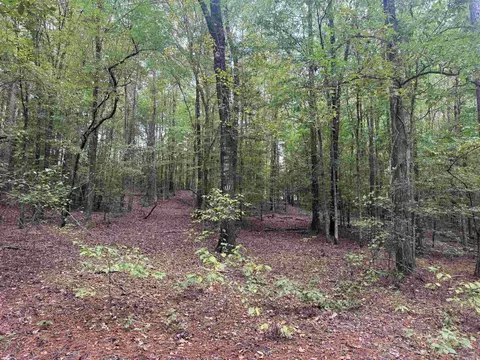 Joan Trail, Donaldson, AR 71941 photo 15