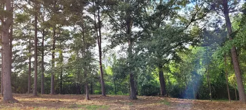 107 Jt Cir, De Queen, AR 71832 photo 23