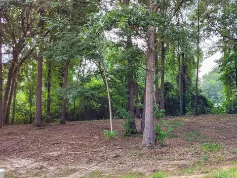 107 Jt Cir, De Queen, AR 71832 photo 9