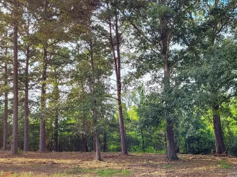 107 Jt Cir, De Queen, AR 71832 photo 17