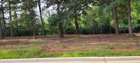 107 Jt Cir, De Queen, AR 71832 photo 22