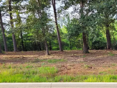 107 Jt Cir, De Queen, AR 71832 photo 15