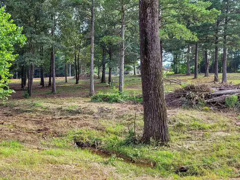 108 Jt Cir, De Queen, AR 71832 photo 15