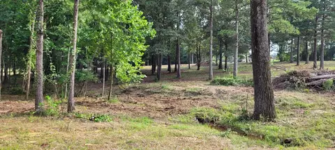 108 Jt Cir, De Queen, AR 71832 photo 23