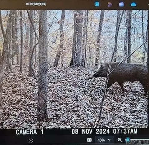 557 Private Road 5028 Rd, Oark, AR 72852 photo 38